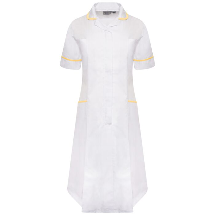 Ladies Dress Thumbnail